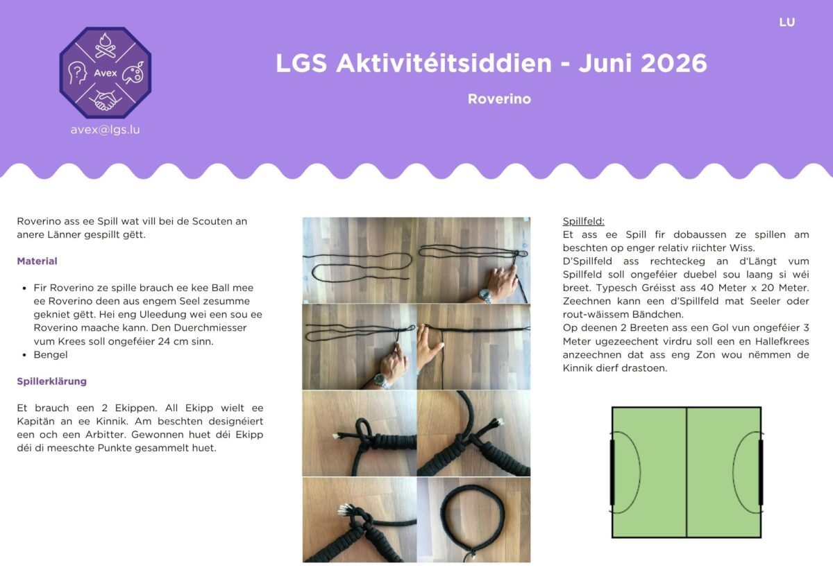 2026.06 - Roverino - Avex LGS